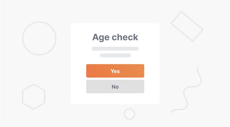 Add-on Agecheck voor Lightspeed